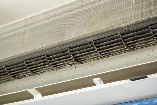 Best Air Vent Cleaning Services  in Estell Manor, NJ